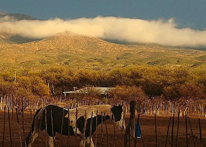 Gasthof Double R Guest Ranch *